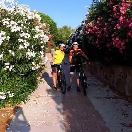 Saba * Olbia