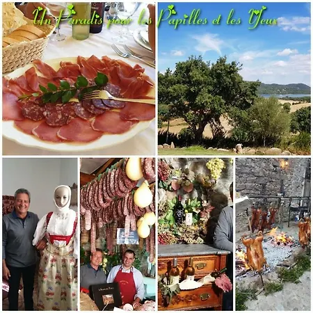 Saba Appartamento *
