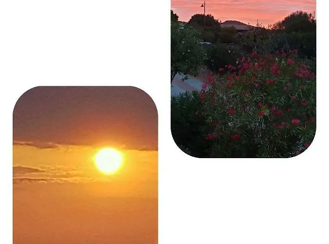 公寓 Saba 奧爾比亞