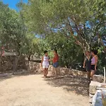 Saba *