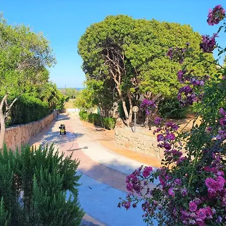 Saba Διαμέρισμα