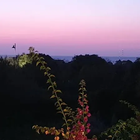 Lägenhet Saba Olbia