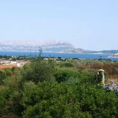 Apartment Saba Olbia