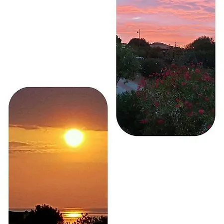 Lägenhet Saba Olbia