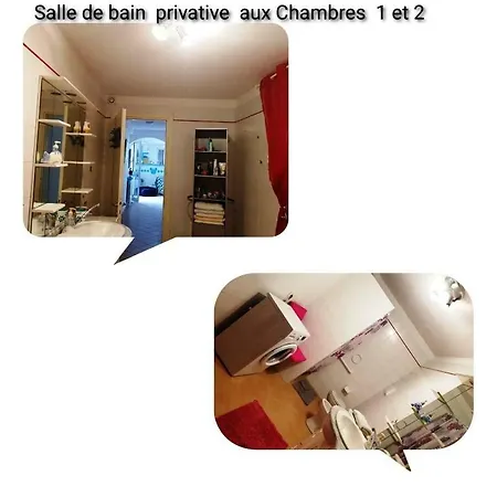 Apartment Saba *