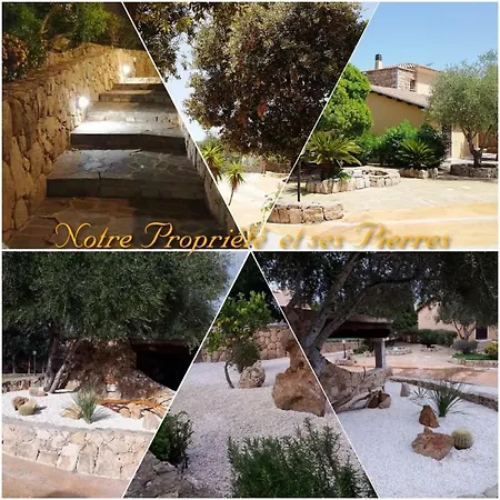 Saba Olbia